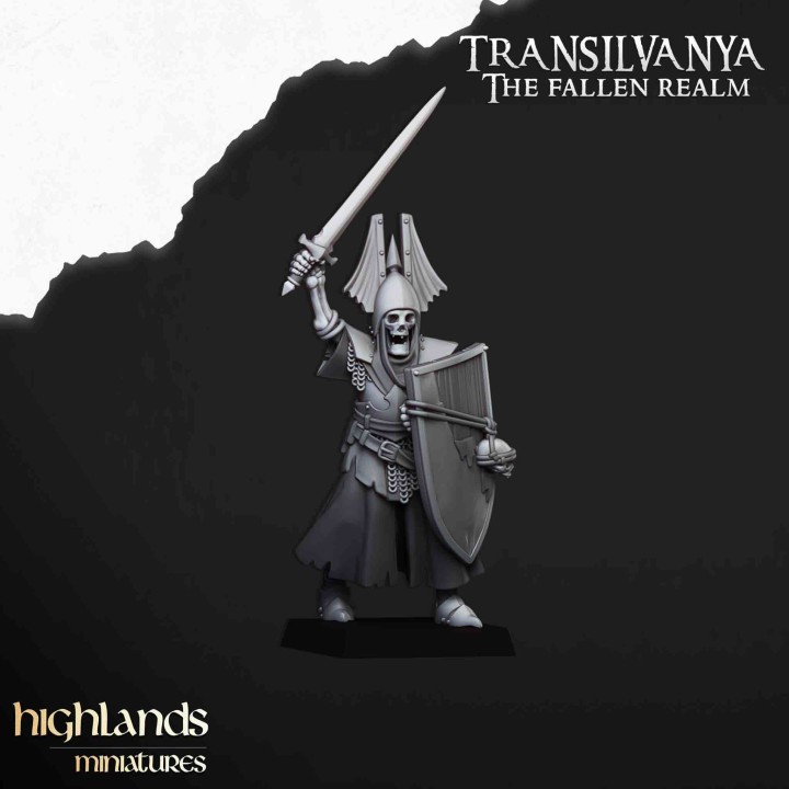 20 guardias tumularios con espada y escudo_28mm