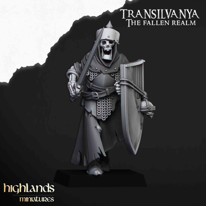 20 guardias tumularios con espada y escudo_28mm