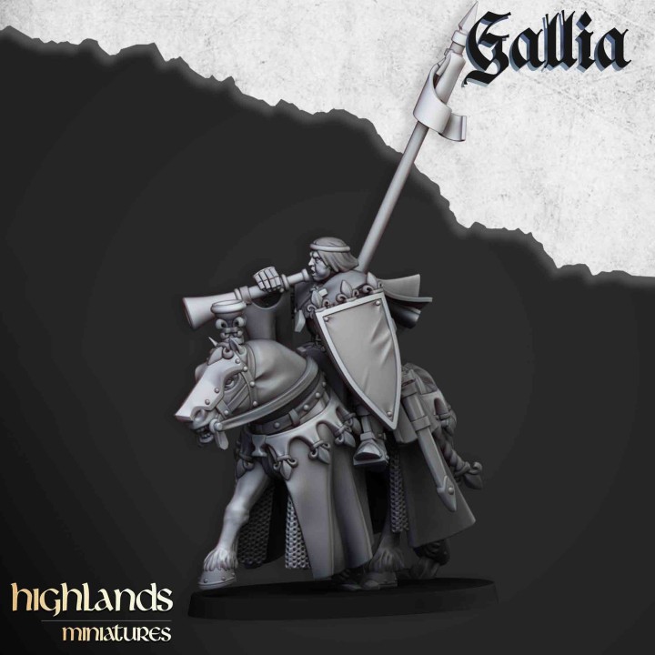 8 caballeros reales de Gallia_28mm