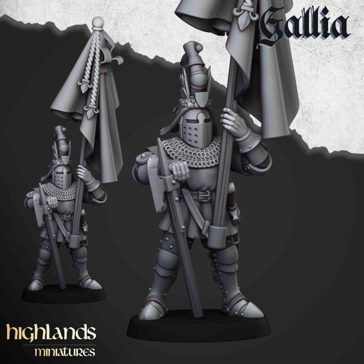 20 caballeros de gallia a pie