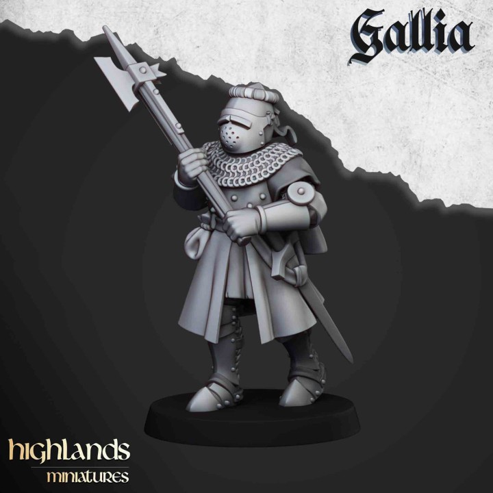 20 caballeros de gallia a pie