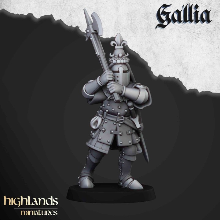 20 caballeros de gallia a pie