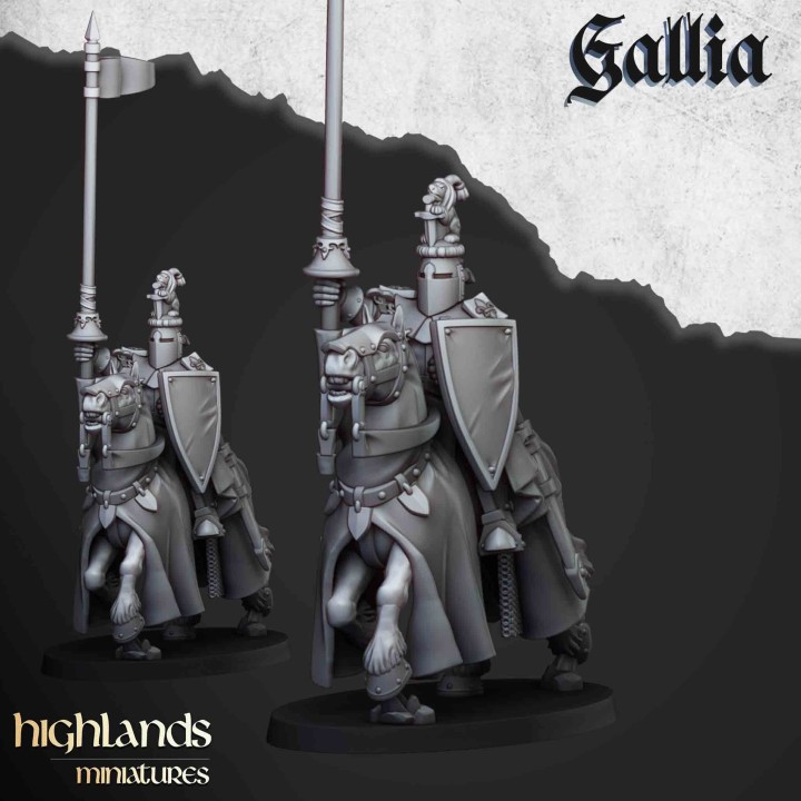 8 caballeros de Gallia
