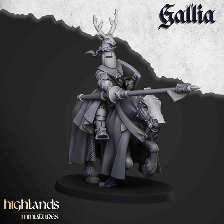 8 caballeros de Gallia