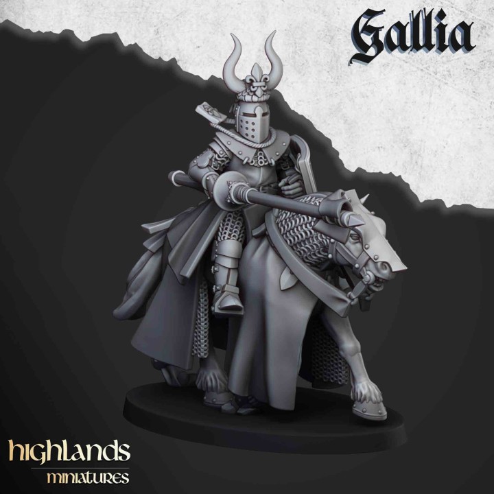 8 caballeros de Gallia