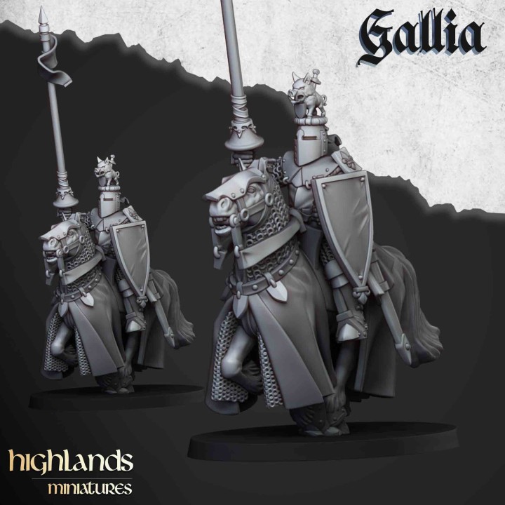 8 caballeros de Gallia