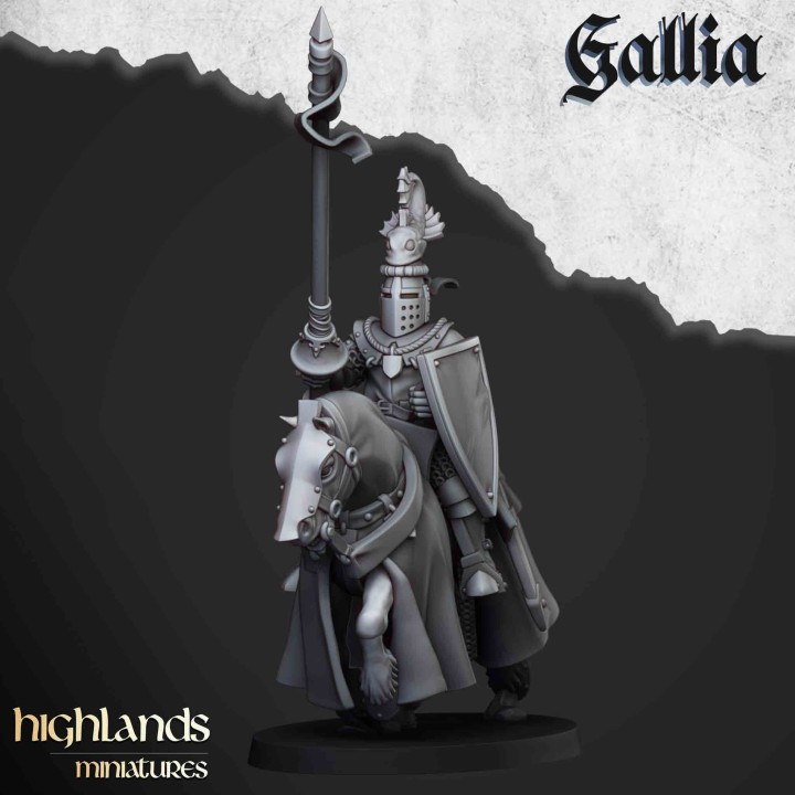 8 caballeros de Gallia