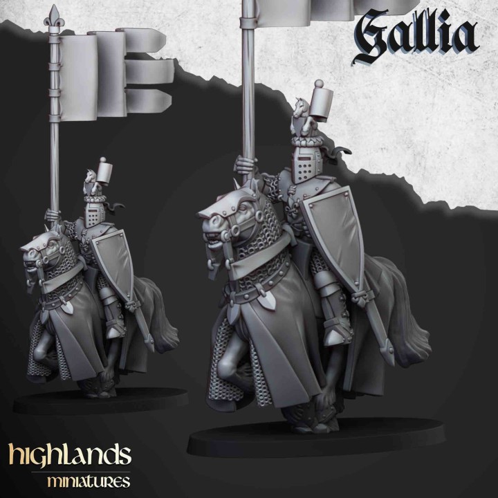 8 caballeros de Gallia